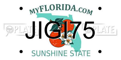 JIGI75 Florida License Plate