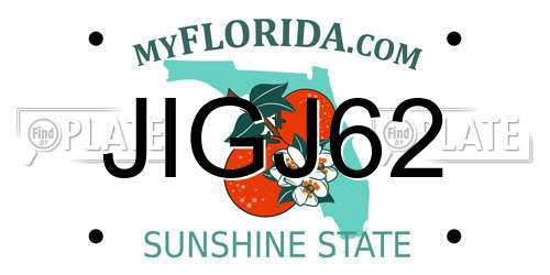 JIGJ62 Florida License Plate