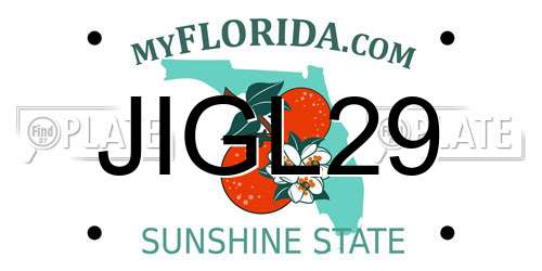 JIGL29 Florida License Plate