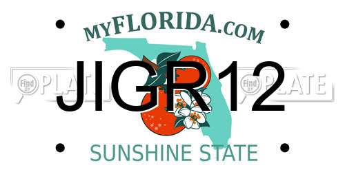JIGR12 Florida License Plate