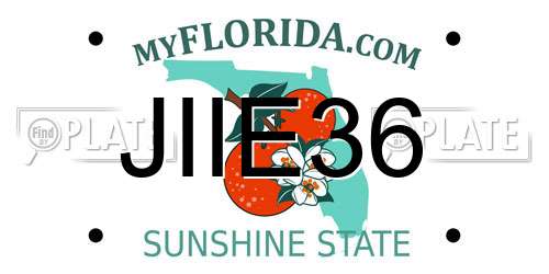JIIE36 Florida License Plate