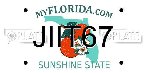 JIIT67 Florida License Plate