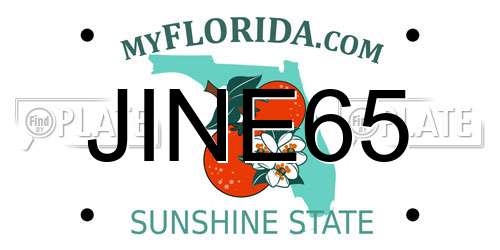 JINE65 Florida License Plate