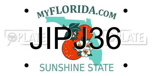 JIPJ36 Florida License Plate