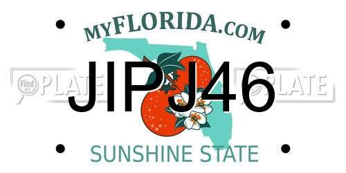 JIPJ46 Florida License Plate