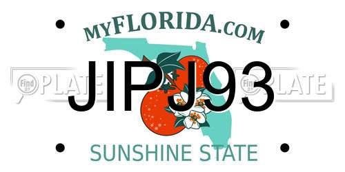 JIPJ93 Florida License Plate