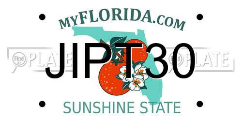 JIPT30 Florida License Plate