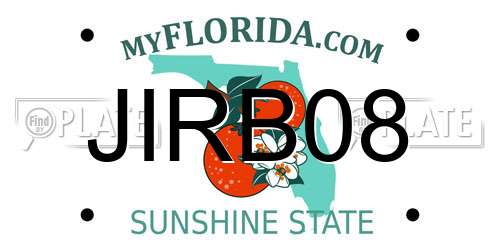 JIRB08 Florida License Plate