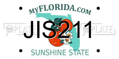 JIS211 Florida License Plate