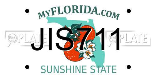 JIS711 Florida License Plate