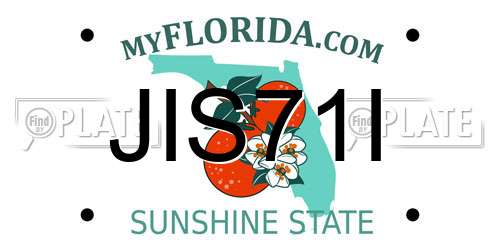 JIS71I Florida License Plate