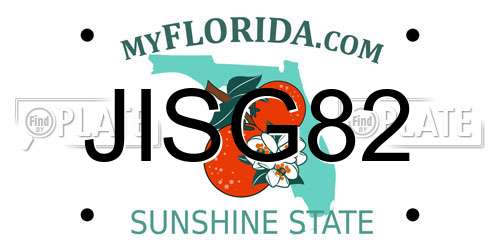 JISG82 Florida License Plate