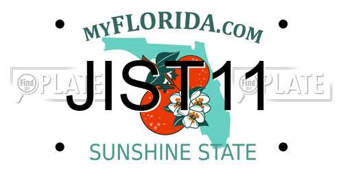 JIST11 Florida License Plate