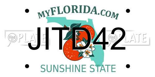 JITD42 Florida License Plate
