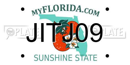 JITJ09 Florida License Plate