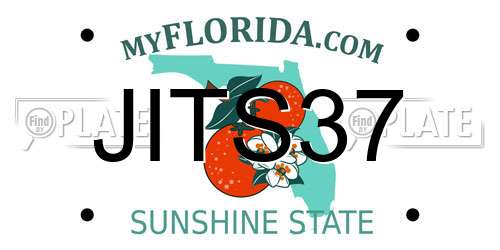 JITS37 Florida License Plate
