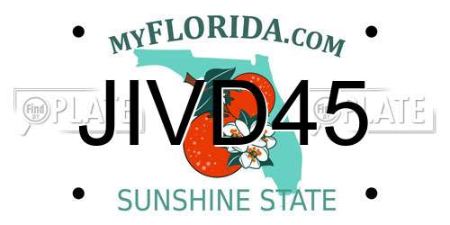 JIVD45 Florida License Plate