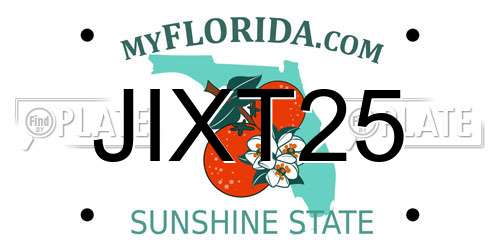 JIXT25 Florida License Plate