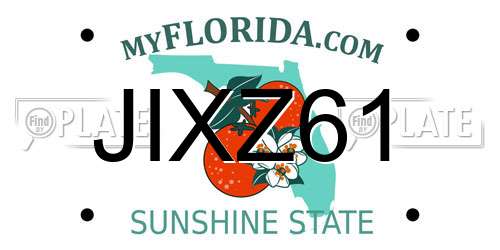 JIXZ61 Florida License Plate