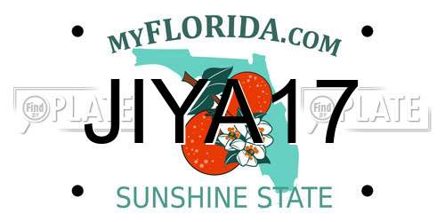 JIYA17 Florida License Plate