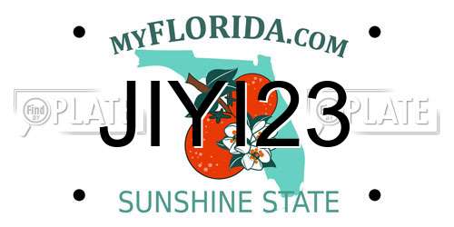 JIYI23 Florida License Plate