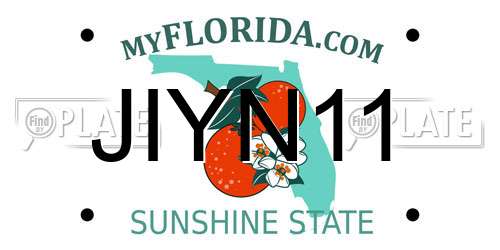 JIYN11 Florida License Plate