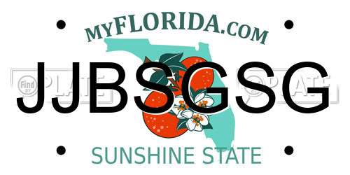 JJBSGSG Florida License Plate