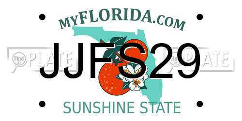 JJFS29 Florida License Plate