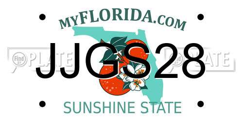 JJGS28 Florida License Plate