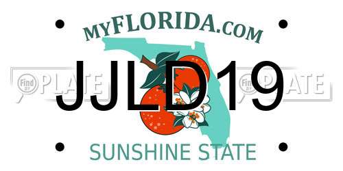 JJLD19 Florida License Plate