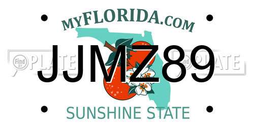 JJMZ89 Florida License Plate