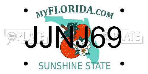 JJNJ69 Florida License Plate