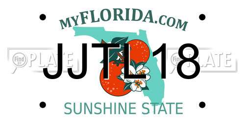 JJTL18 Florida License Plate