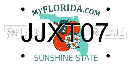 JJXT07 Florida License Plate