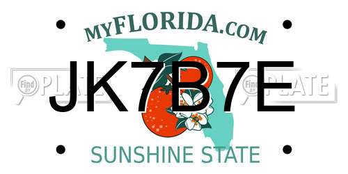 JK7B7E Florida License Plate