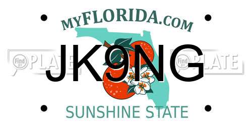 JK9NG Florida License Plate