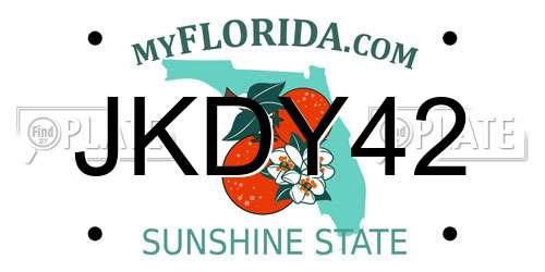 JKDY42 Florida License Plate