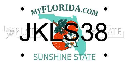 JKLS38 Florida License Plate