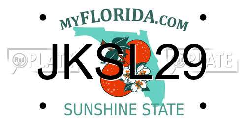 JKSL29 Florida License Plate