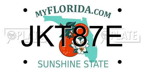 JKT87E Florida License Plate