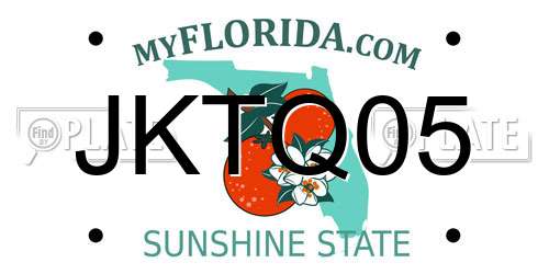 JKTQ05 Florida License Plate