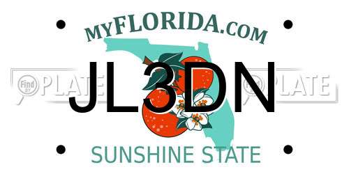 JL3DN Florida License Plate