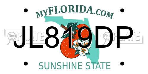 JL819DP Florida License Plate