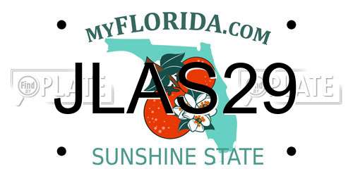 JLAS29 Florida License Plate