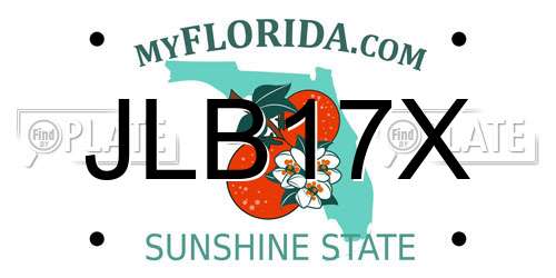 JLB17X Florida License Plate