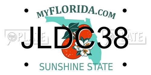 JLDC38 Florida License Plate
