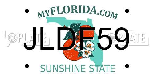 JLDF59 Florida License Plate