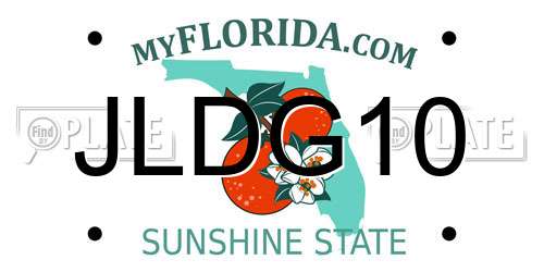 JLDG10 Florida License Plate