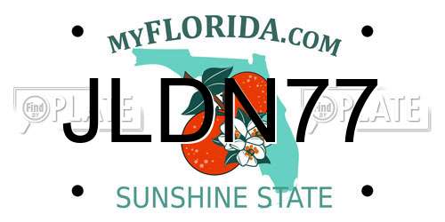 JLDN77 Florida License Plate