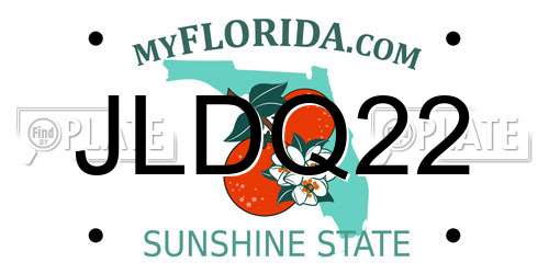 JLDQ22 Florida License Plate